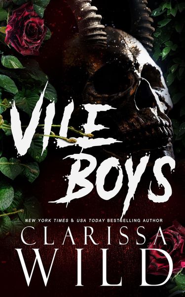 Cover of Vile Boys by Clarissa Wild