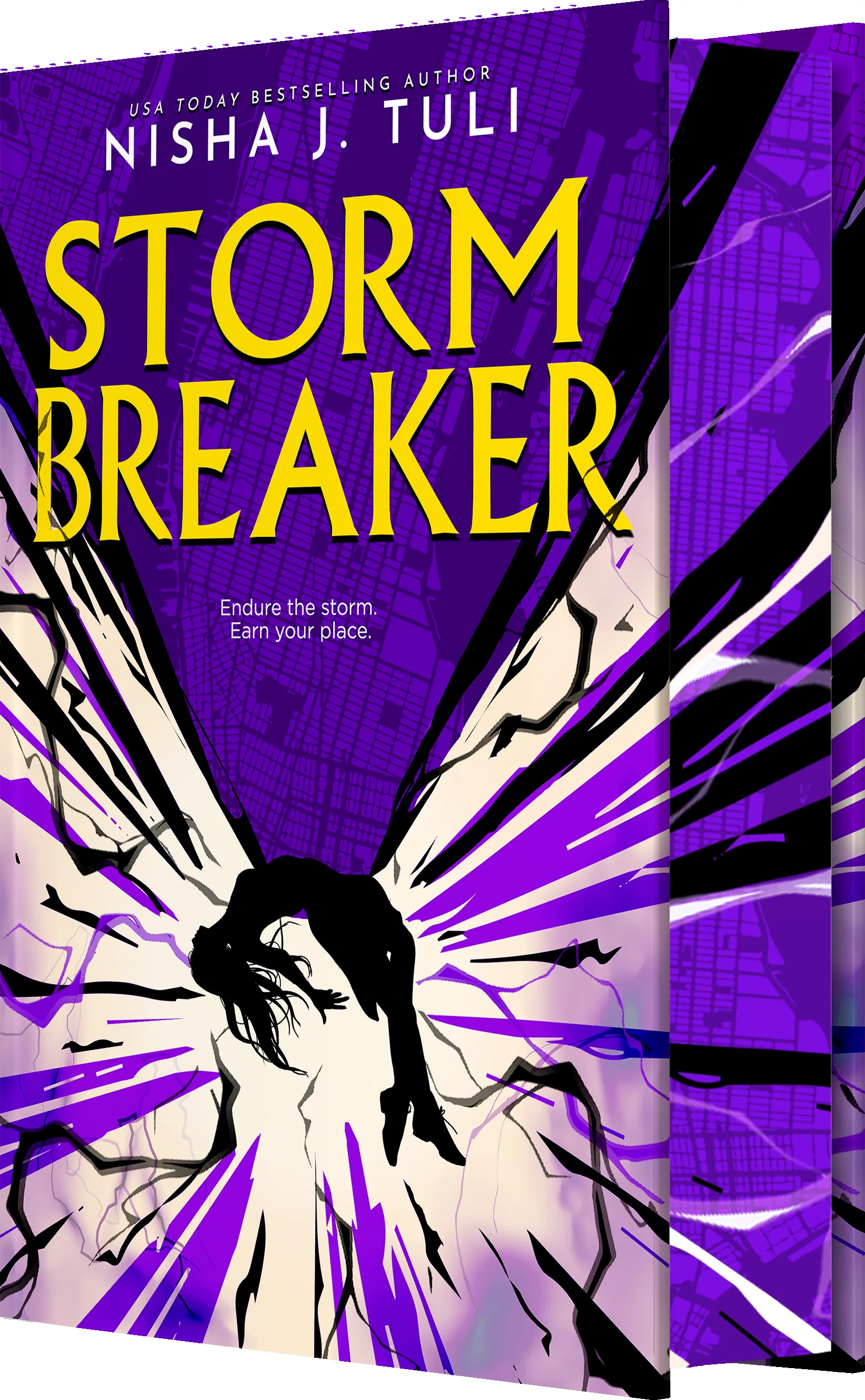 Cover of Storm Breaker by Nisha J. Tuli