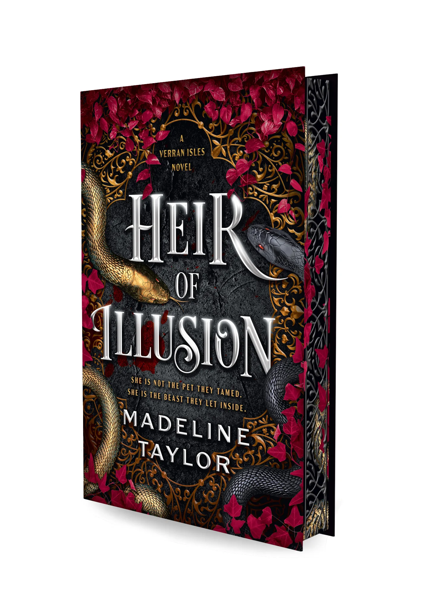 Cover of Heir of Illusion by Madeline Taylor