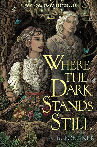 Cover of Where the Dark Stands Still by A.B. Poranek