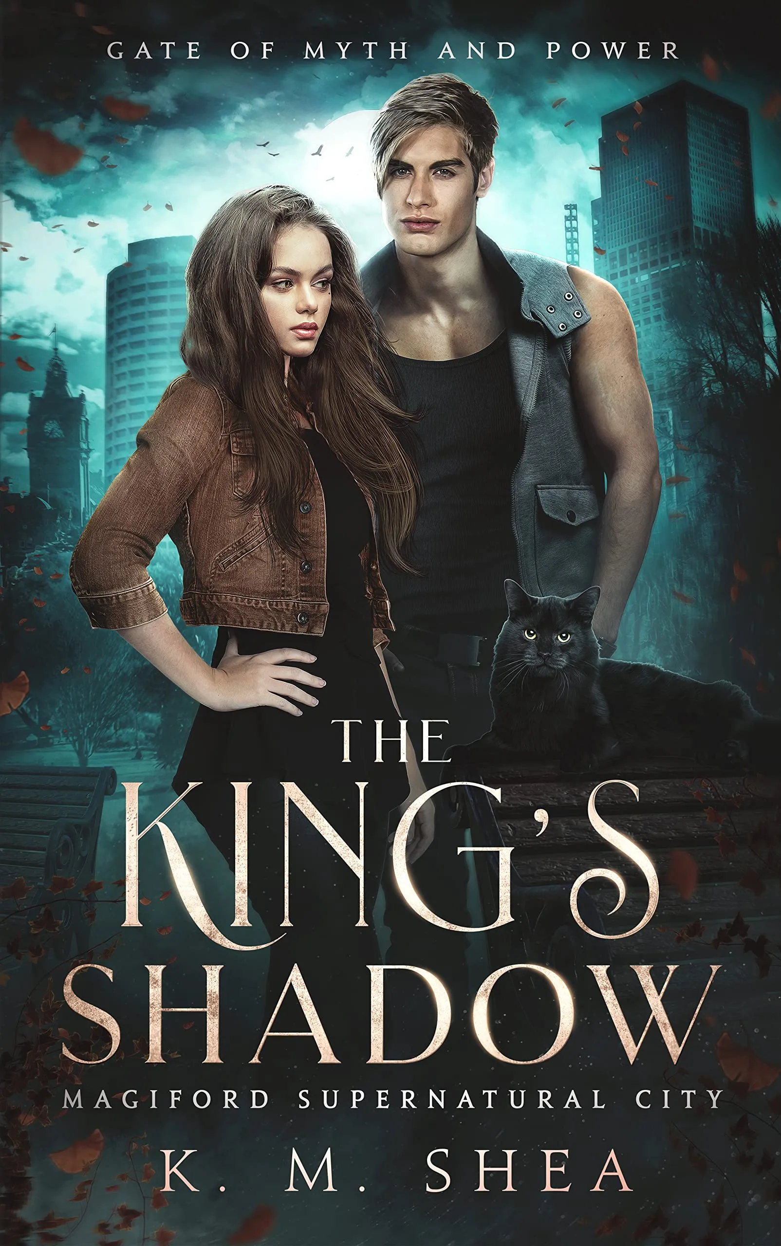 Cover of The King's Shadow by K.M. Shea