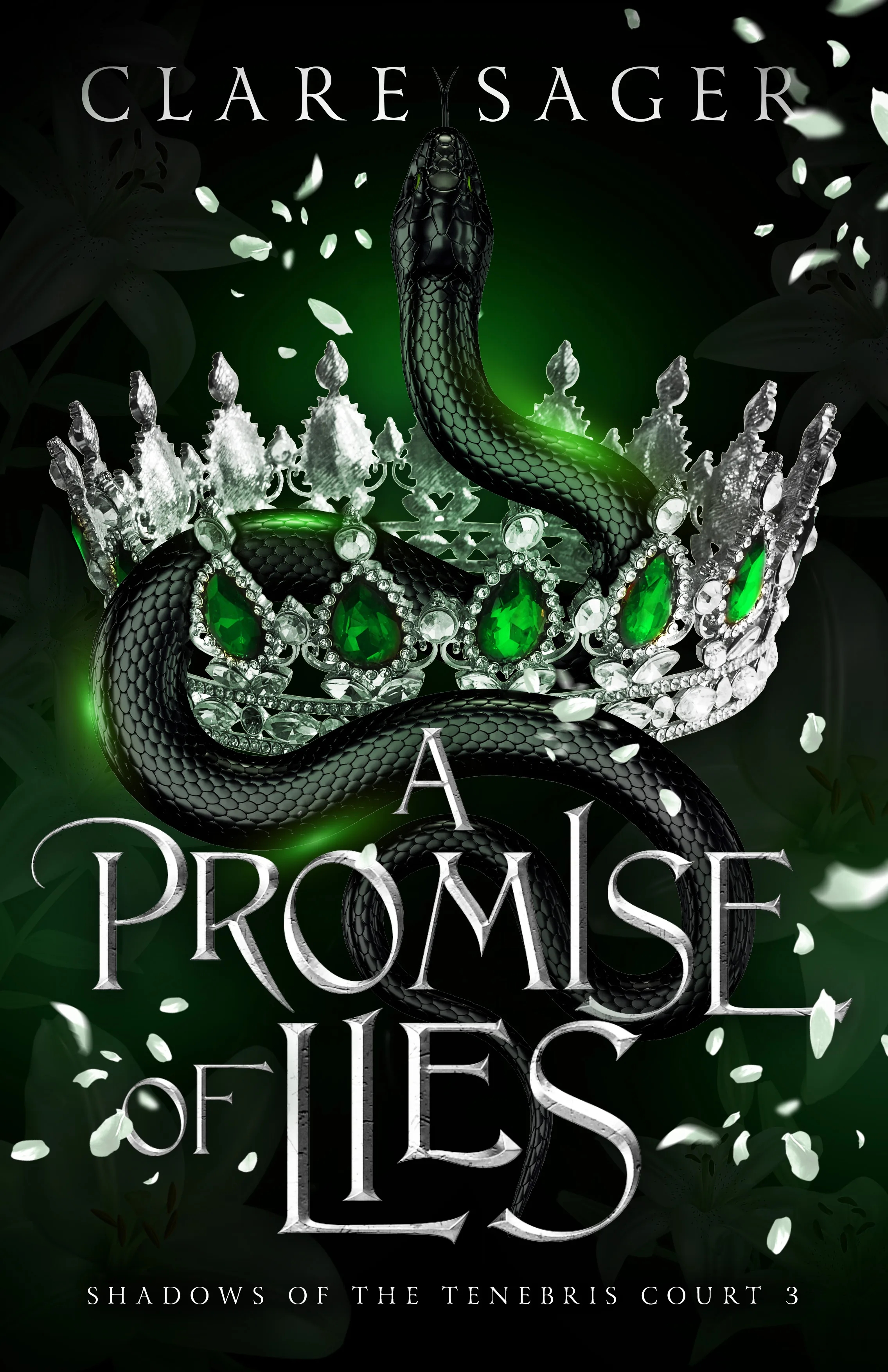 Cover of A Promise of Lies by Clare Sager