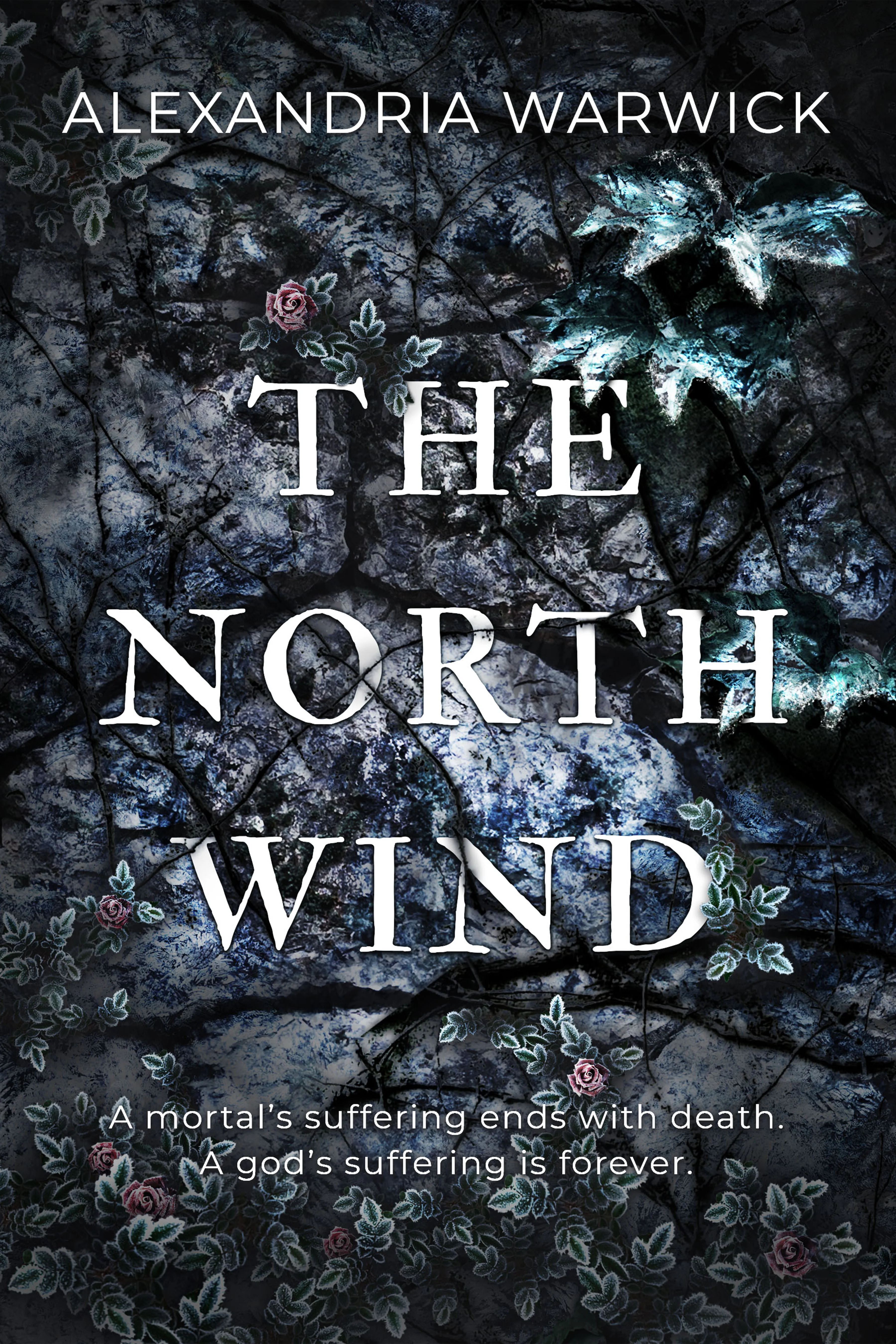 Cover of The North Wind by Alexandria Warwick