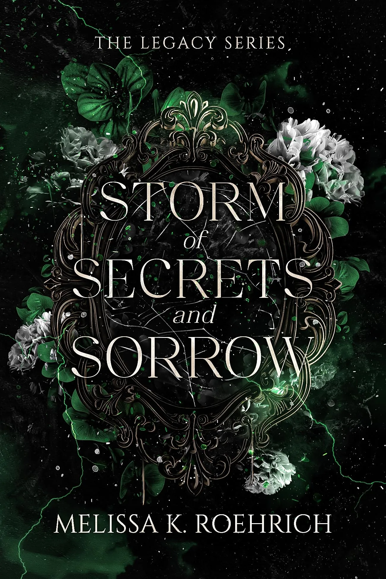 Cover of Storm of Secrets and Sorrow by Melissa K. Roehrich
