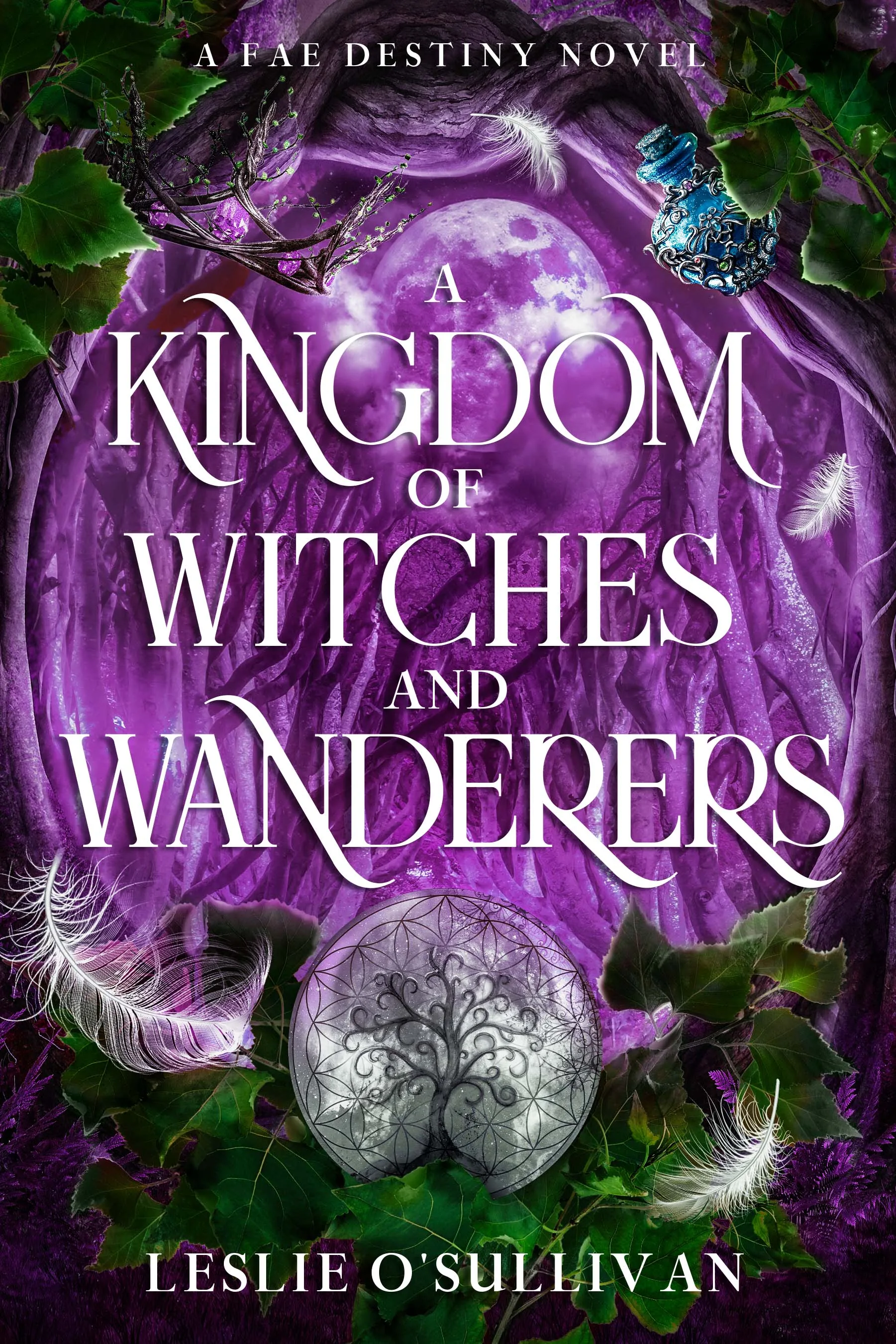 Cover of A Kingdom of Witches and Wanderers by Leslie O'Sullivan