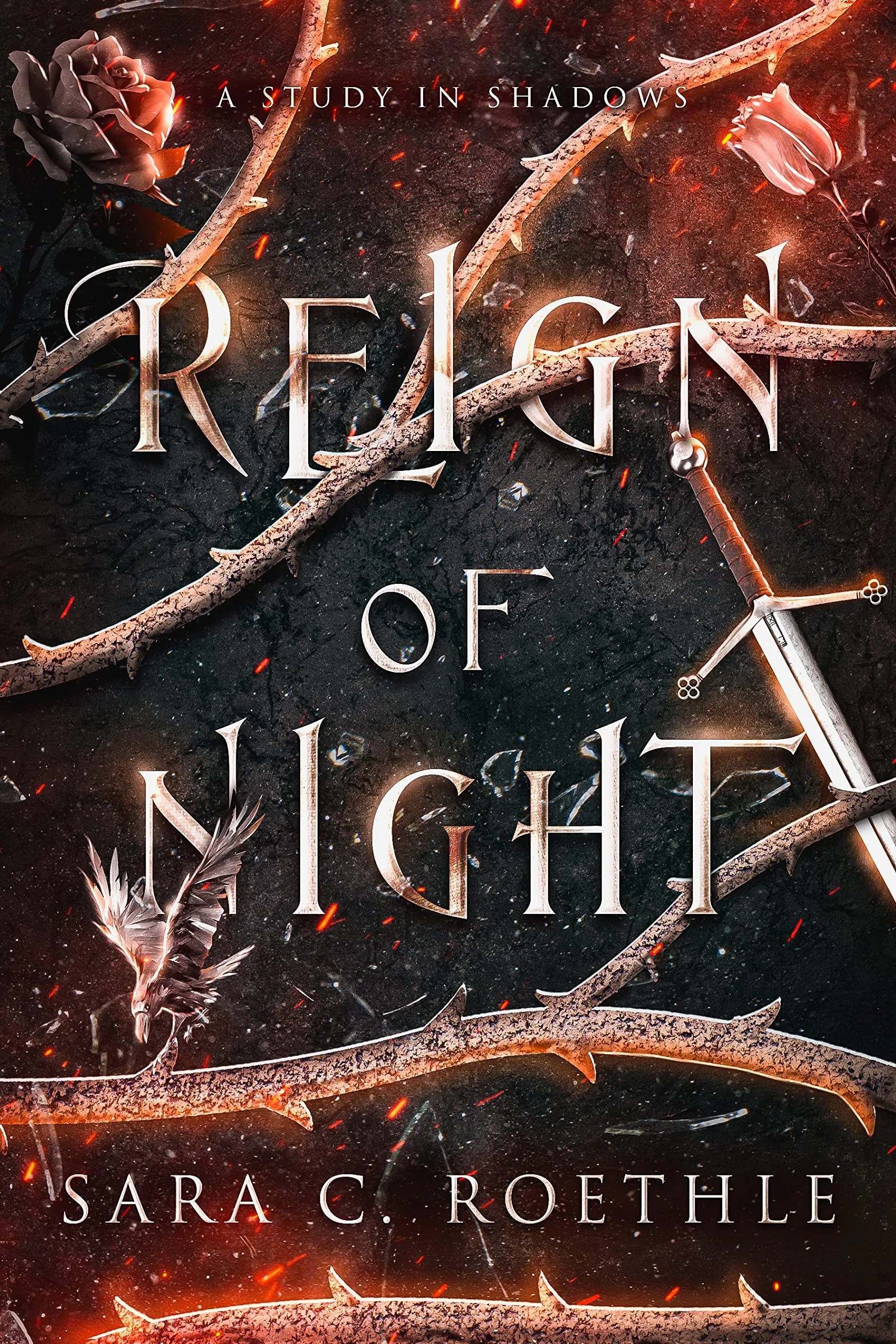 Cover of Reign of Night by Sara C. Roethle