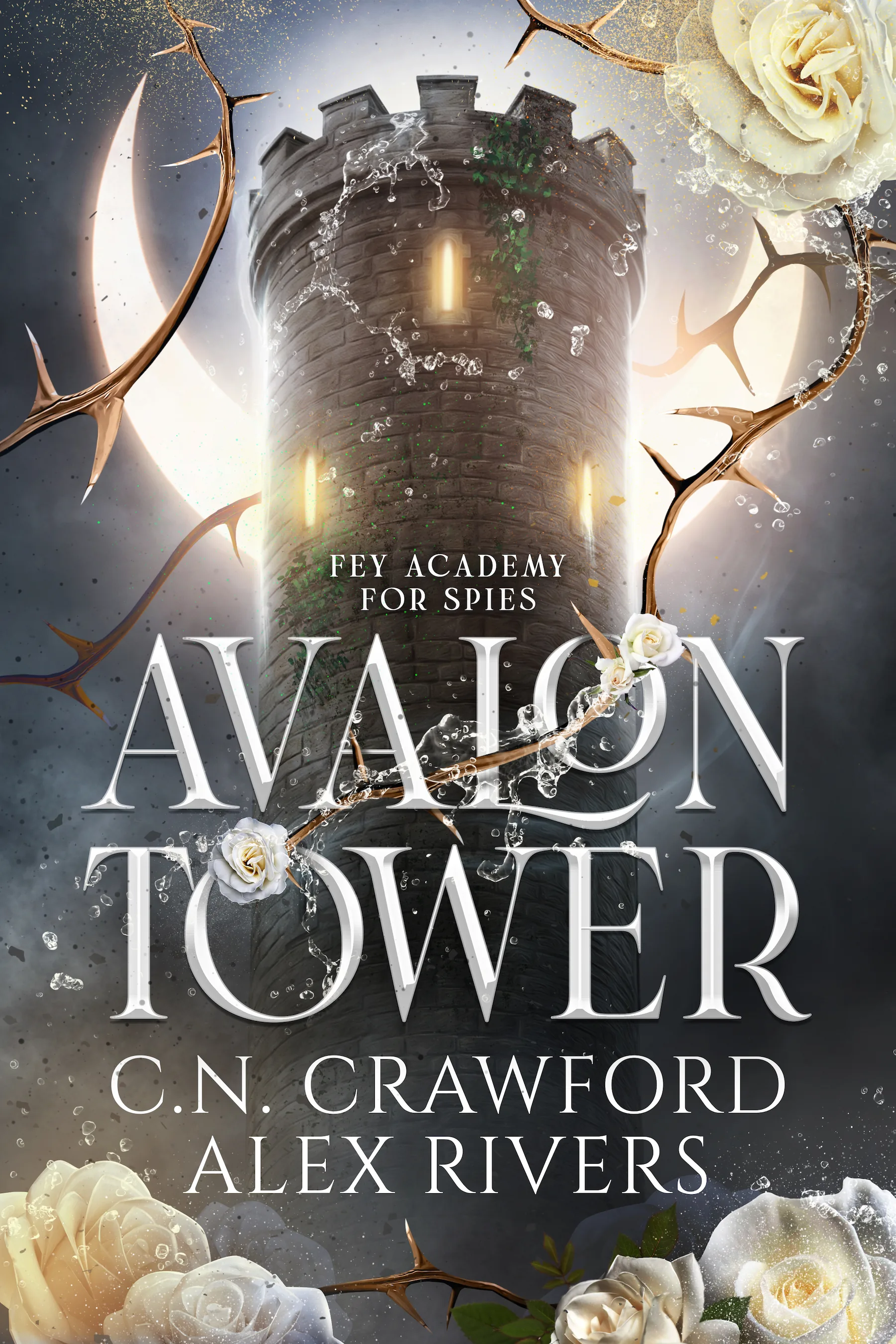 Cover of Avalon Tower by C.N. Crawford, Alex Rivers