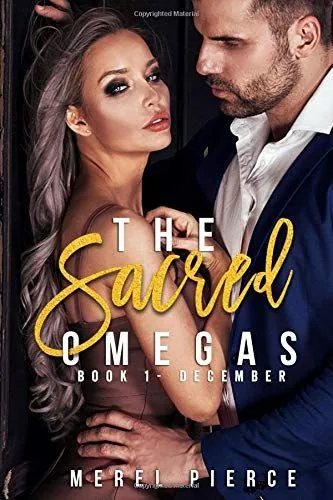 Cover of December by Merel Pierce