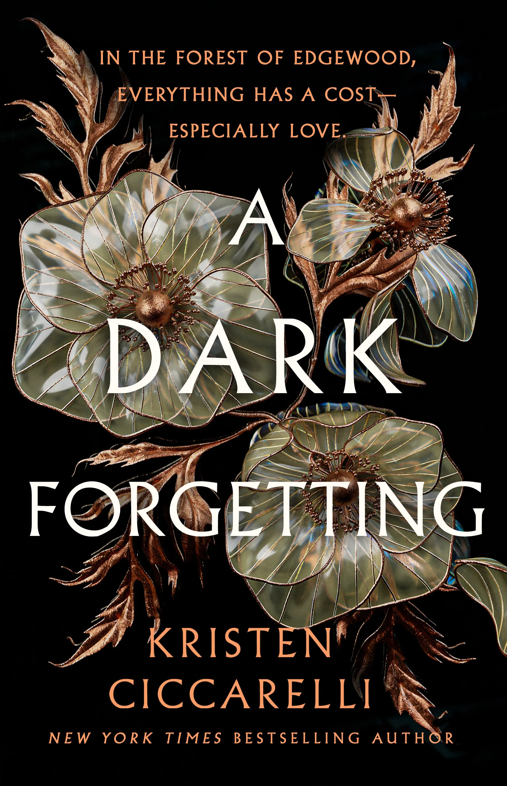 Cover of A Dark Forgetting by Kristen Ciccarelli