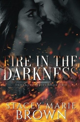 Cover of Fire in the Darkness by Stacey Marie Brown